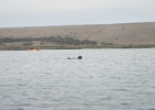 DSCN0557