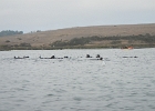 DSCN0558