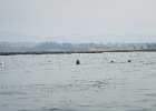 DSCN0561