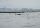 DSCN0562