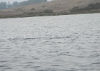 DSCN0563