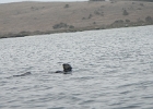 DSCN0565