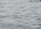 DSCN0566