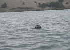 DSCN0567