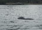 DSCN0570