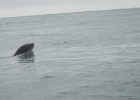 DSCN0571