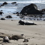 IMG 0285