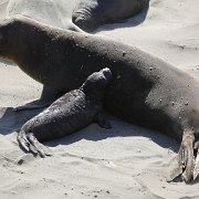 IMG 0289