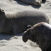 IMG 0293