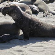 IMG 0295