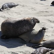 IMG 0300