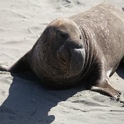 IMG 0303