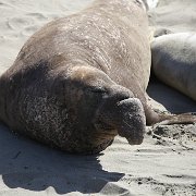 IMG 0305
