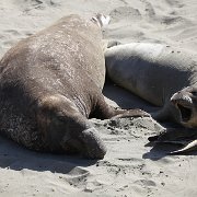 IMG 0306