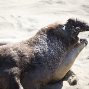 IMG 0307