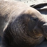 IMG 0311