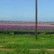 P1100077