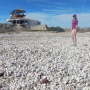 DSCN0780