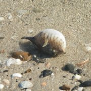 DSCN0782