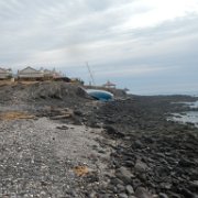DSCN0788