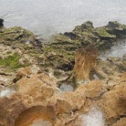 DSCN0792