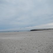 DSCN0798