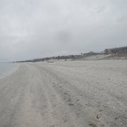 DSCN0803