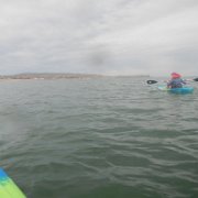 DSCN0806