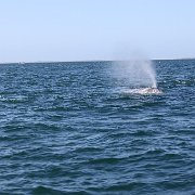 IMG 0149
