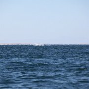 IMG 0197