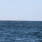 IMG 0202
