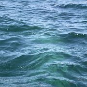 IMG 0239