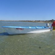 P1100039
