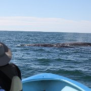 IMG 0034
