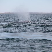 IMG 0059