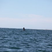IMG 0063