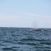 IMG 0065