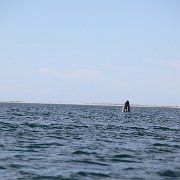 IMG 0067