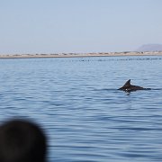 IMG 0128
