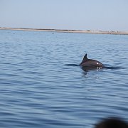 IMG 0129
