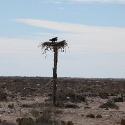 IMG 0134