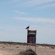 IMG 0138