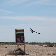 IMG 0139
