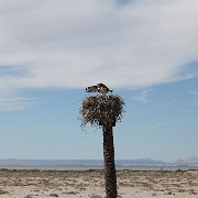 IMG 0142