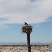 IMG 0143