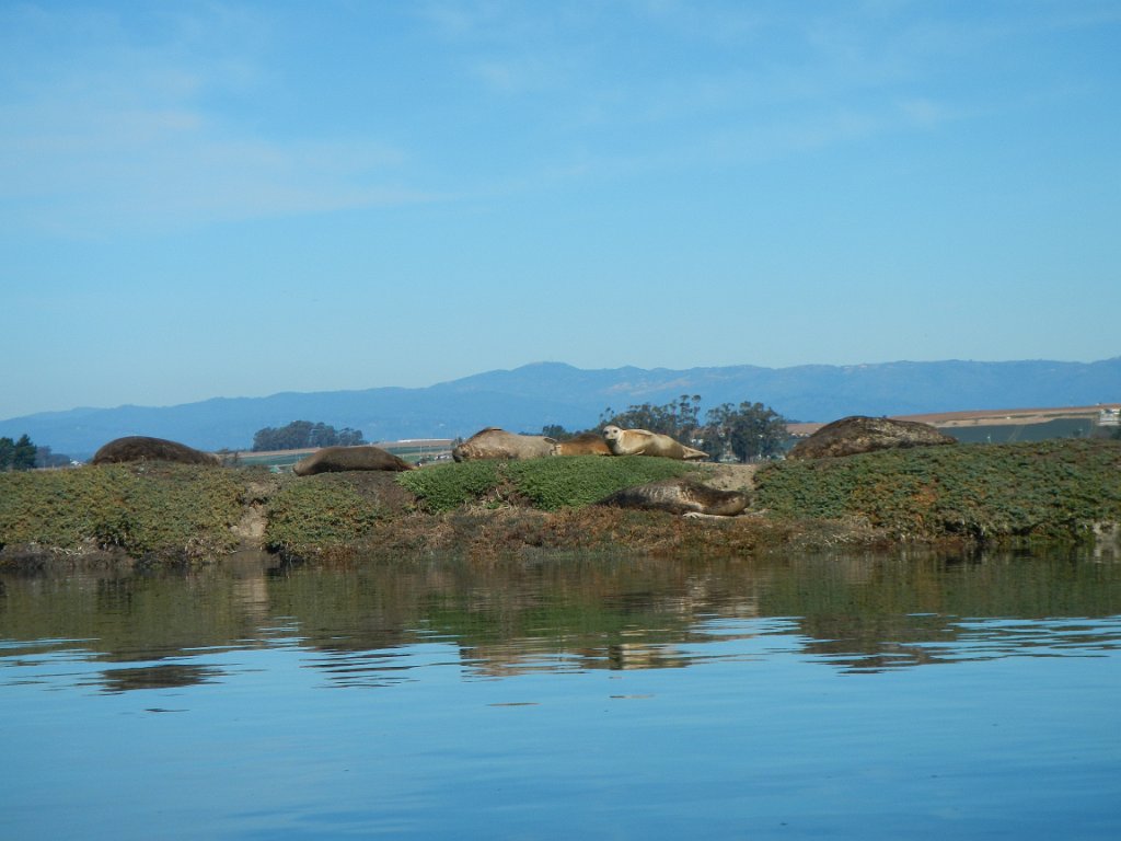 DSCN0715