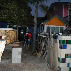 DSCN0951