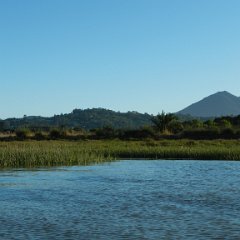DSCN1018