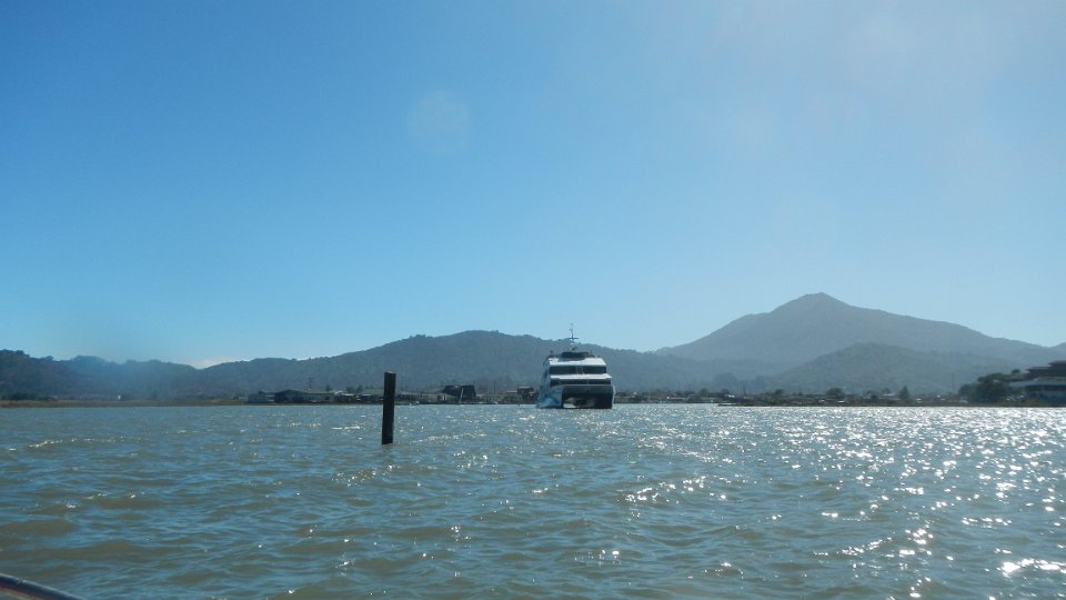 DSCN1100