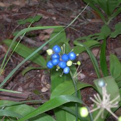 DSCN1034